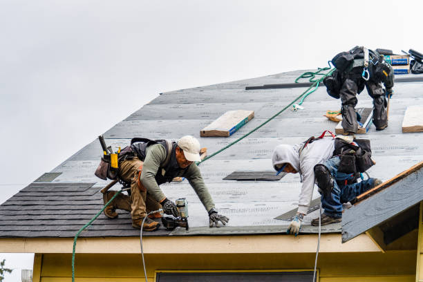 Professional Gutter Installation technician working in Camden, NC